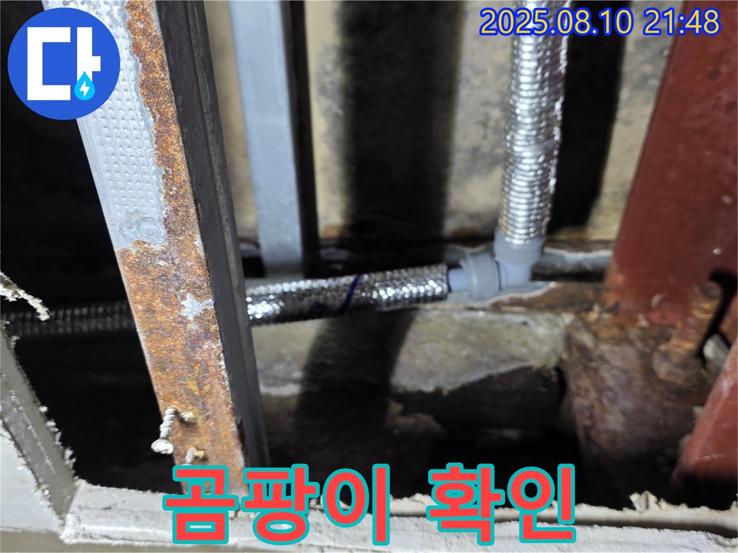 배관 연결 부위 주변 곰팡이 확인 - 습한 환경은 곰팡이 번식에 최적의 조건입니다.
