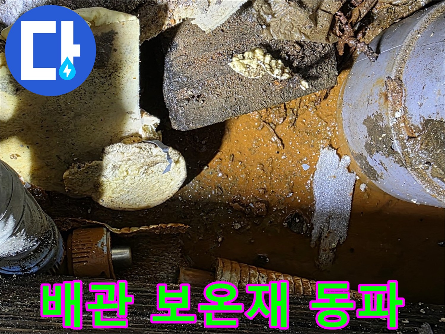 원삼 누수 현장 - 배관 부식과 보온재 문제 - 겨울철 동파 대비가 필수입니다.