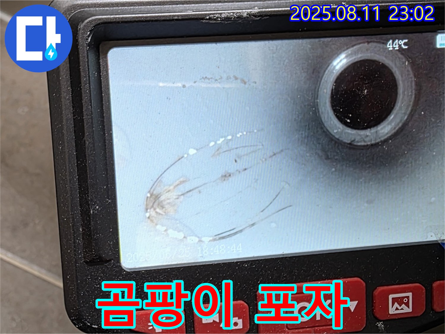 성북구 래미안 월곡 아파트 누수 - 내시경으로 배관 속 곰팡이 포자를 확인했습니다 - 곰팡이 포자는 알레르기나 호흡기 질환을 유발할 수 있습니다.