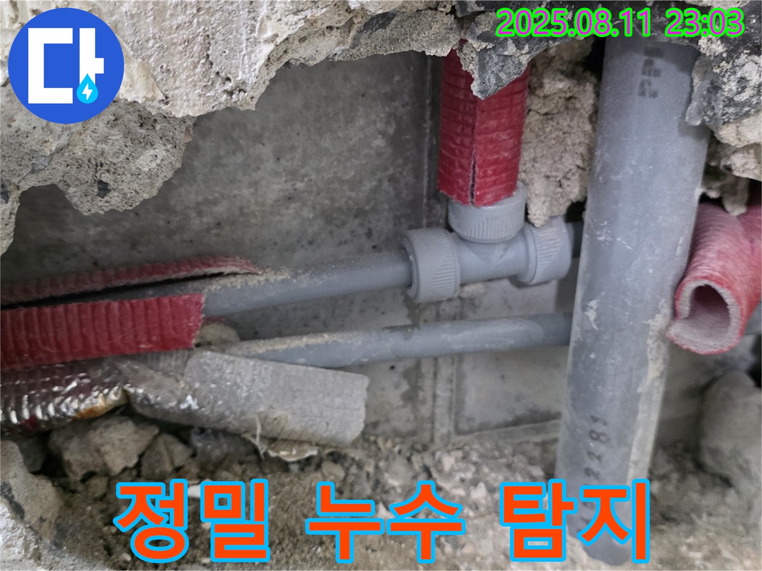 성북구 하월곡동 월곡로 인근 주택 누수 - 정밀 누수 탐지 장비를 사용하여 정확한 누수 지점을 찾는 과정