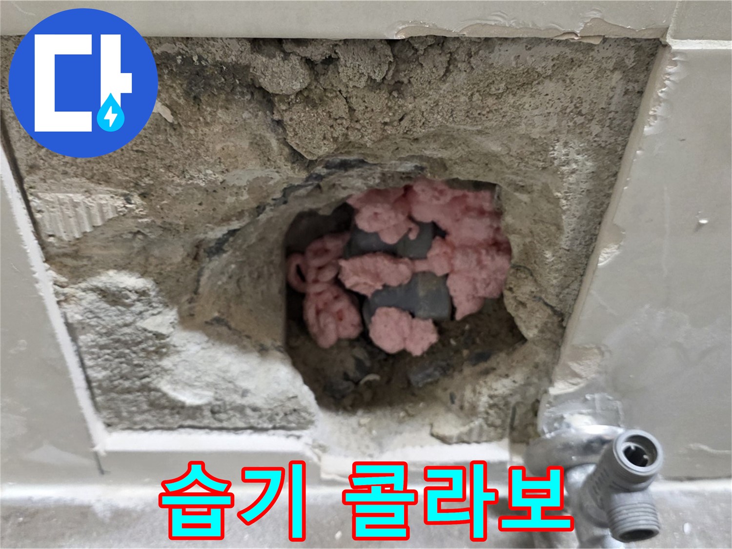 하월곡동 래미안월곡 누수 - 욕실 천장 속 핑크 단열재, 곰팡이와 습기의 콜라보레이션