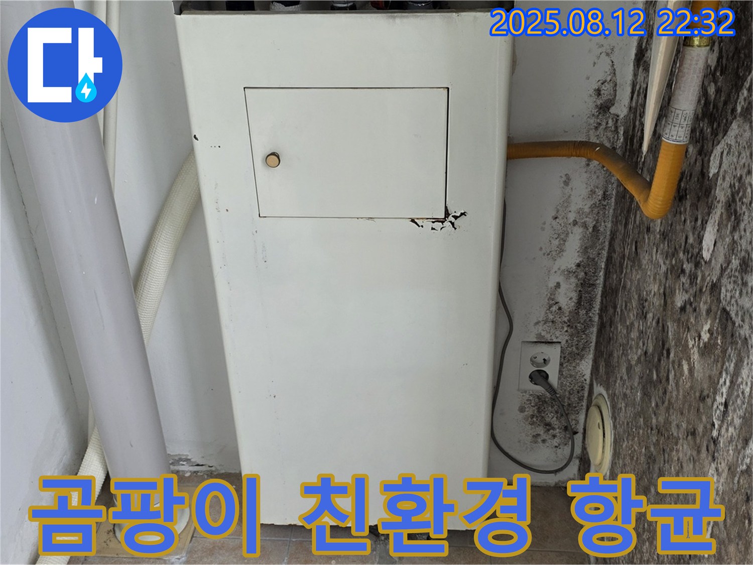 곰팡이 벽 - 누수탐지 후 곰팡이 제거 및 친환경 항균 시공으로 안심!