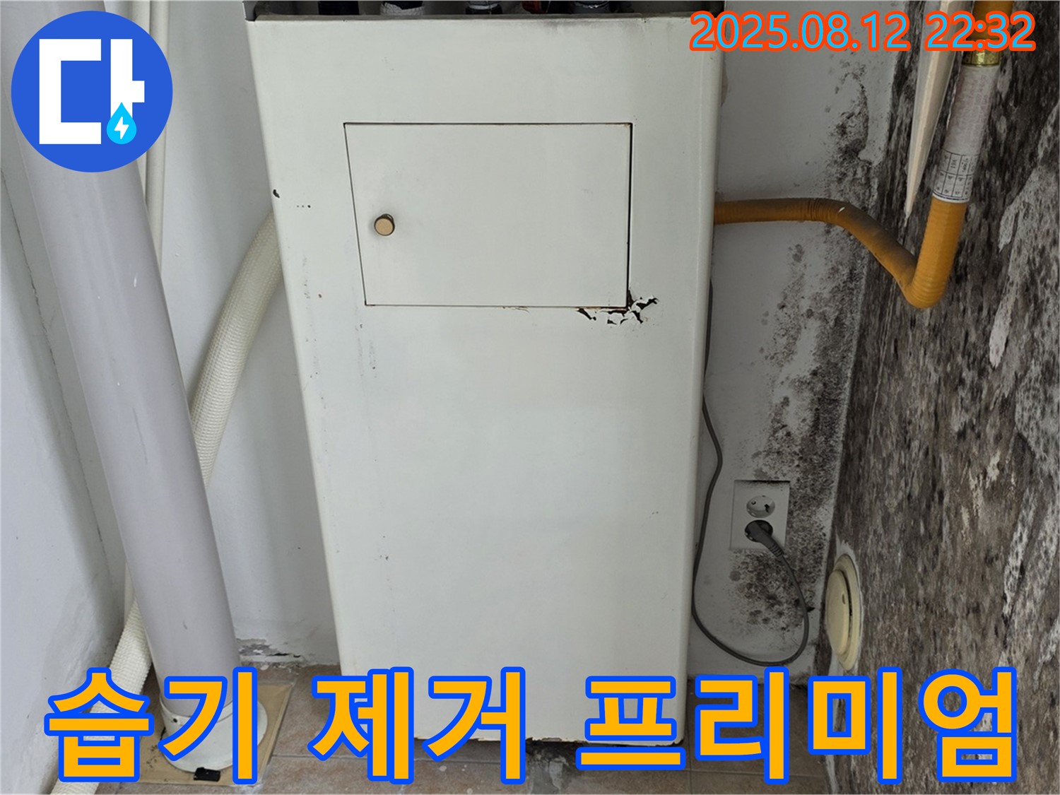 곰팡이 핀 벽 - 습기 완벽 제거 및 쾌적한 프리미엄 공간으로 변화!