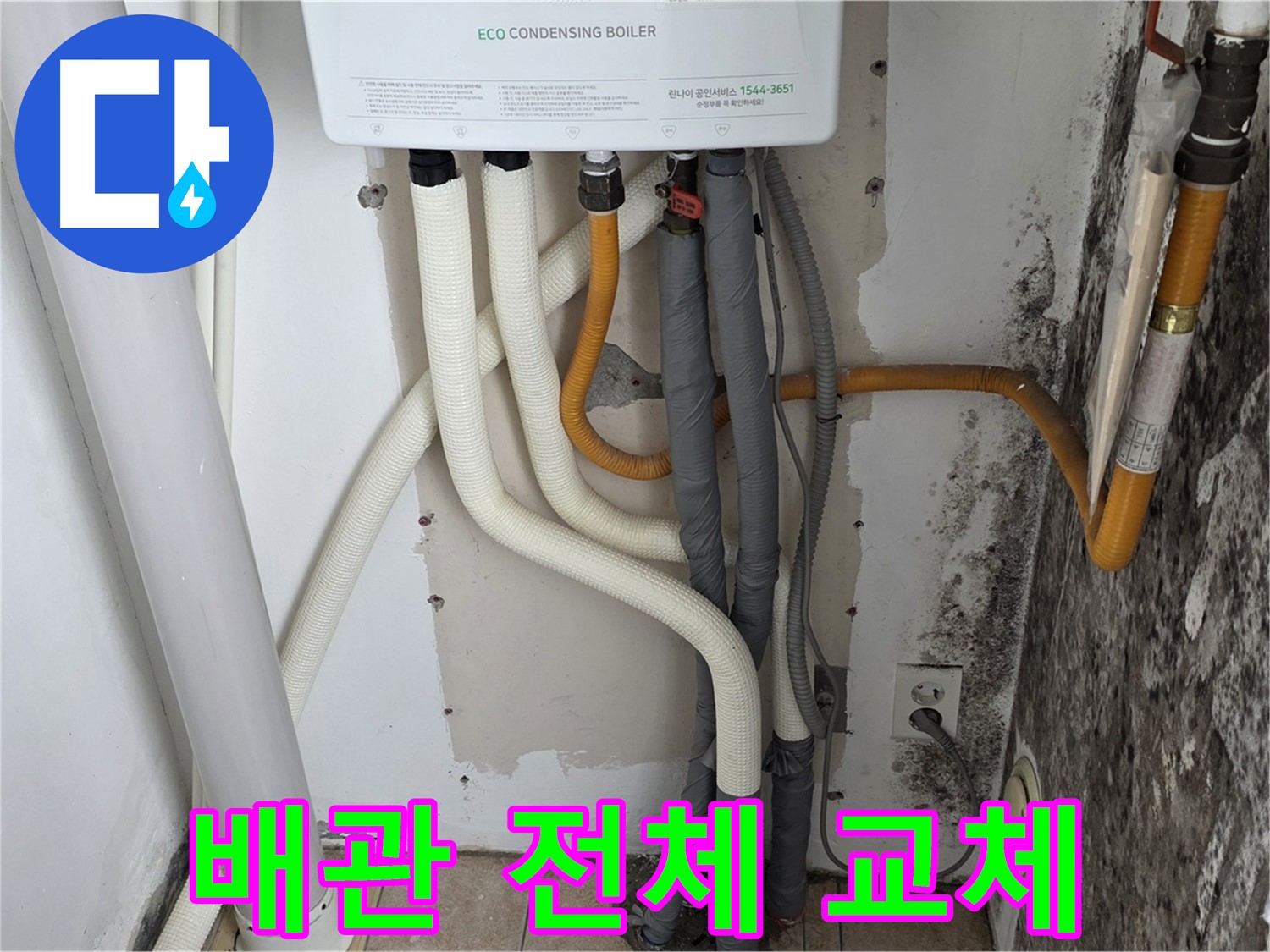 길음1동 아파트 누수 해결 - 곰팡이 핀 벽, 노후 보일러 배관 전체 교체 완료