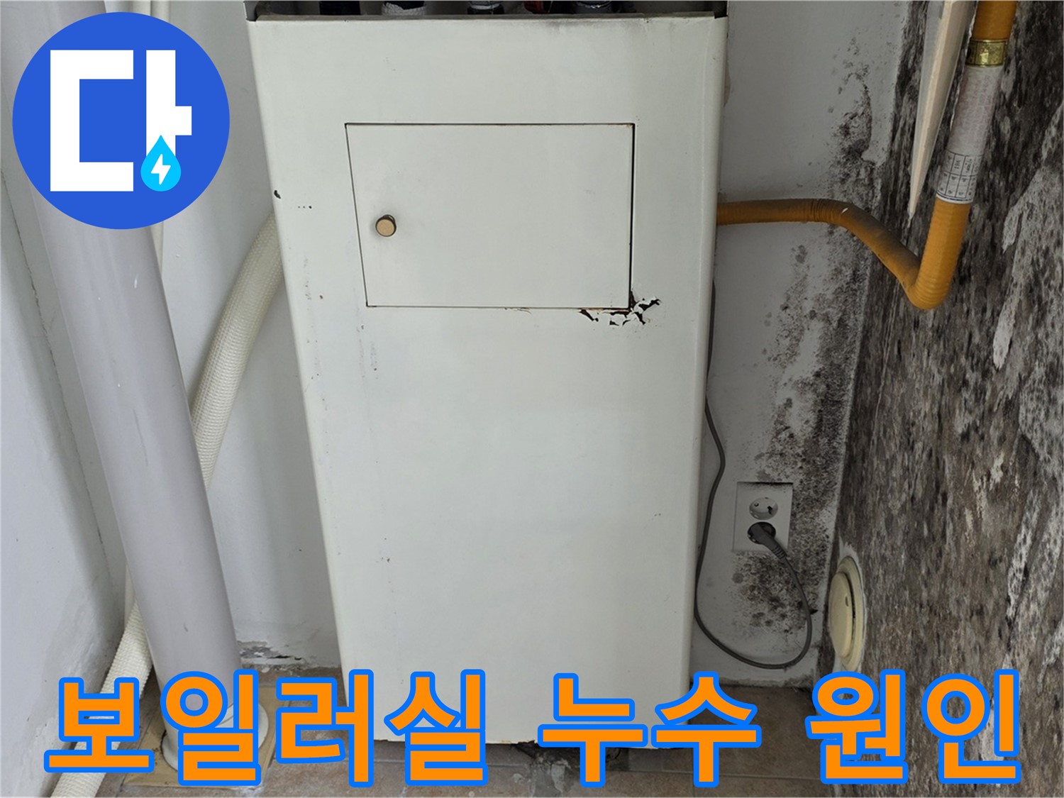 길음동 숭인로 - 곰팡이 핀 보일러실 누수 원인 찾기 - 누수 전문가의 정확한 진단