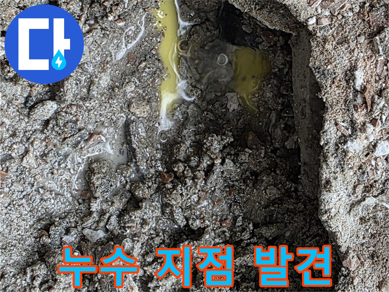 길음동 숭인로 누수 지점 발견 - 정확한 탐지 기술로 숨어있는 누수 지점을 찾아냈습니다.