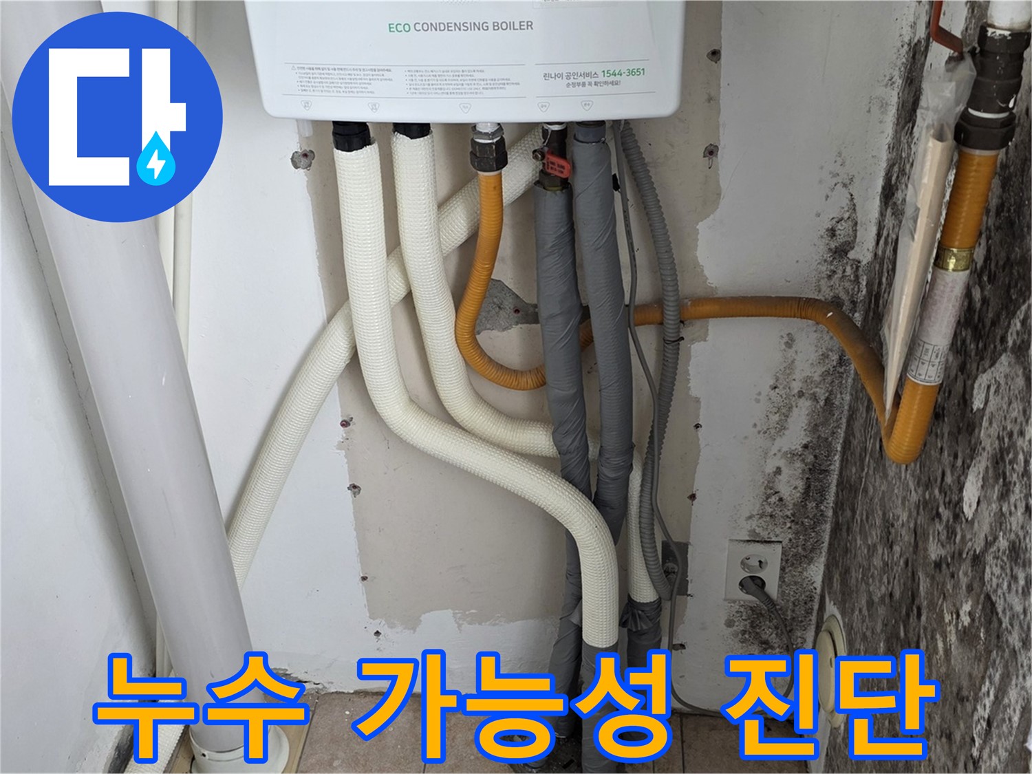 길음동 아파트 누수 - 곰팡이 심한 벽, 보일러 배관 연결부 누수 가능성 진단 중