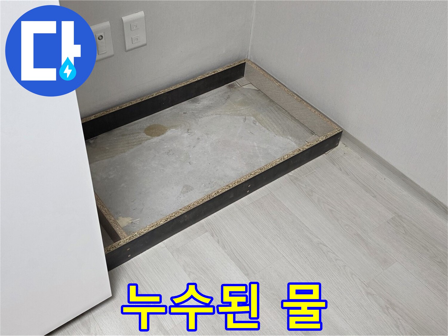 누수된 물 - 곰팡이 영양분