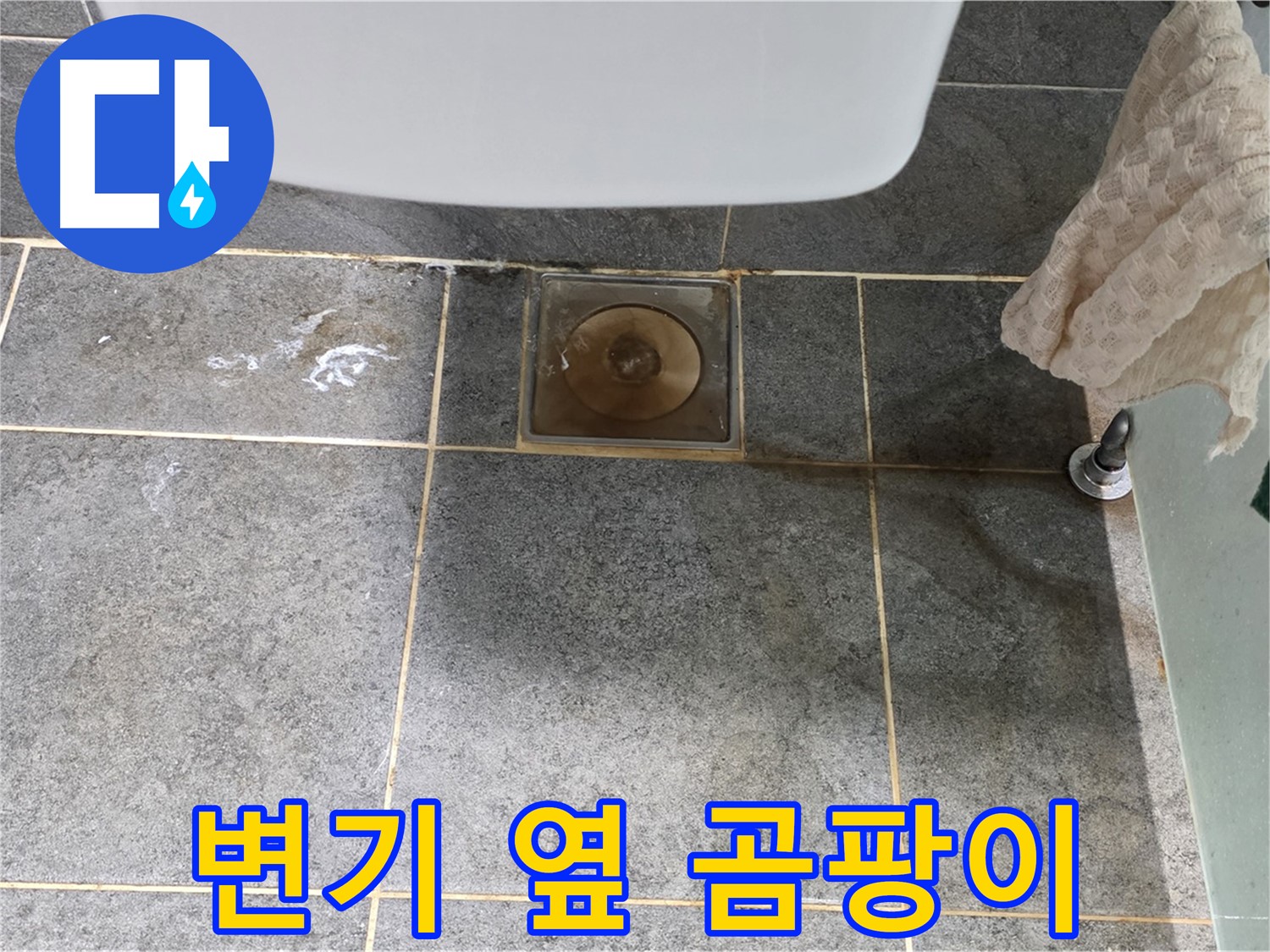변기 옆 타일 틈새 곰팡이 - 변기 누수 의심 - 꼼꼼 진단 필요