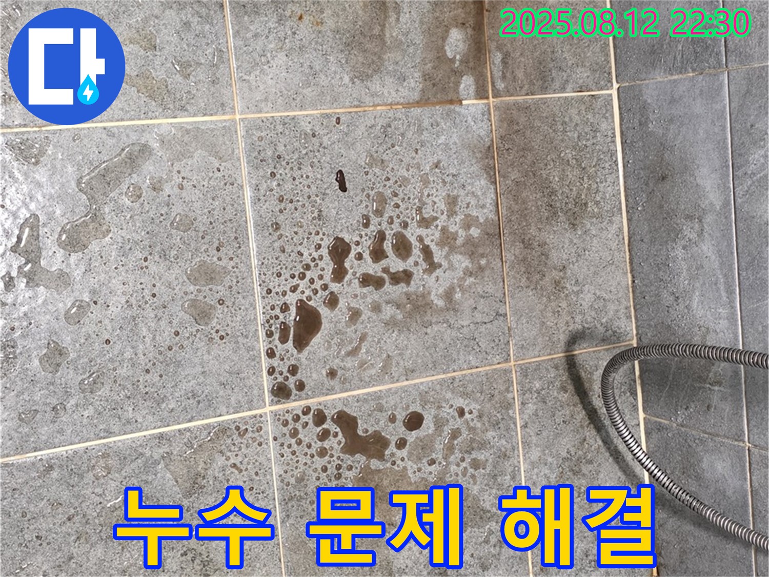 샤워부스 누수 해결 - 전문 기술, 완벽한 문제 해결 능력