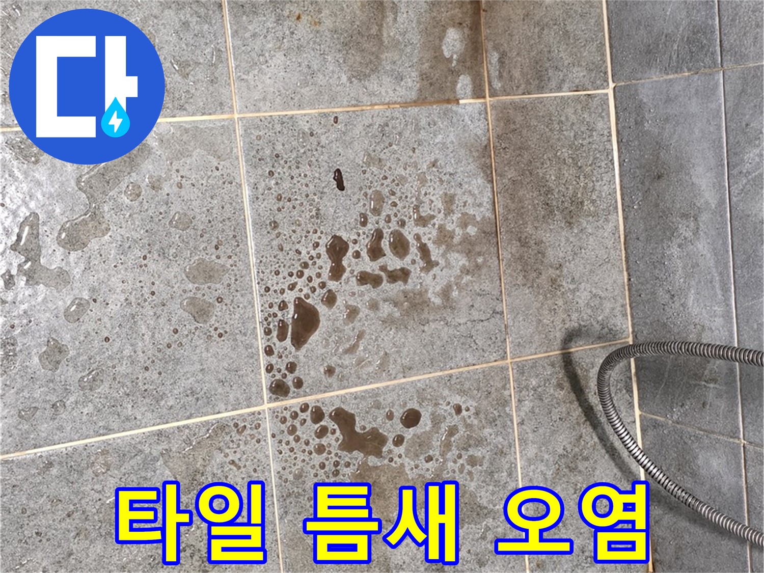 샤워부스 바닥 - 타일 틈새 오염 - 누수 가능성