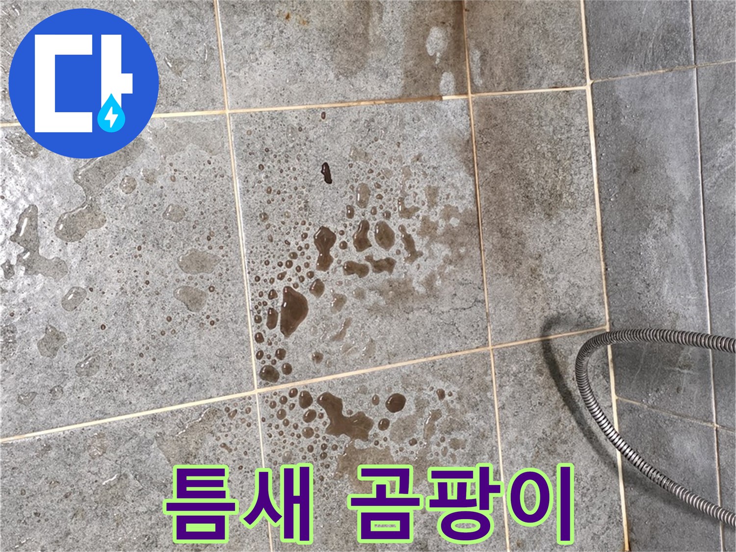 샤워부스 유리 틈새 - 곰팡이 - 실리콘 재시공