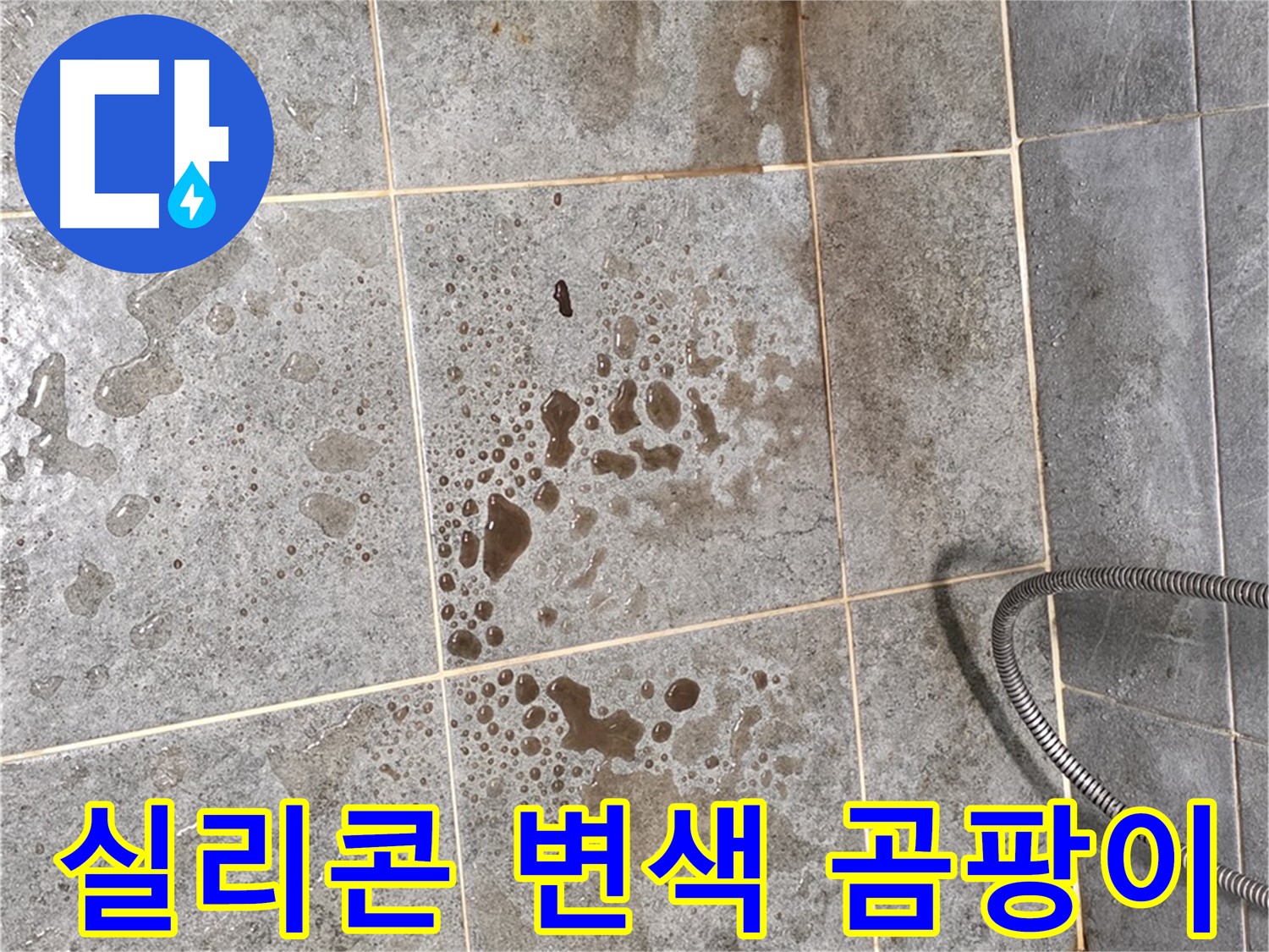 샤워부스 유리 틈새 - 실리콘 변색 - 곰팡이