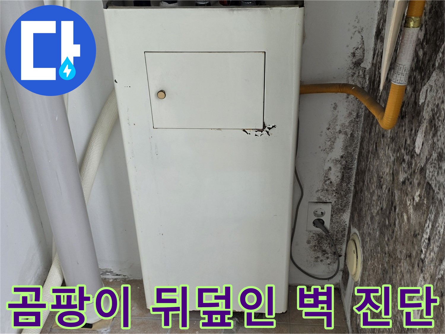 성북구 길음1동 숭인동 - 곰팡이 뒤덮인 벽 긴급 점검 - 누수 전문가의 신속한 진단