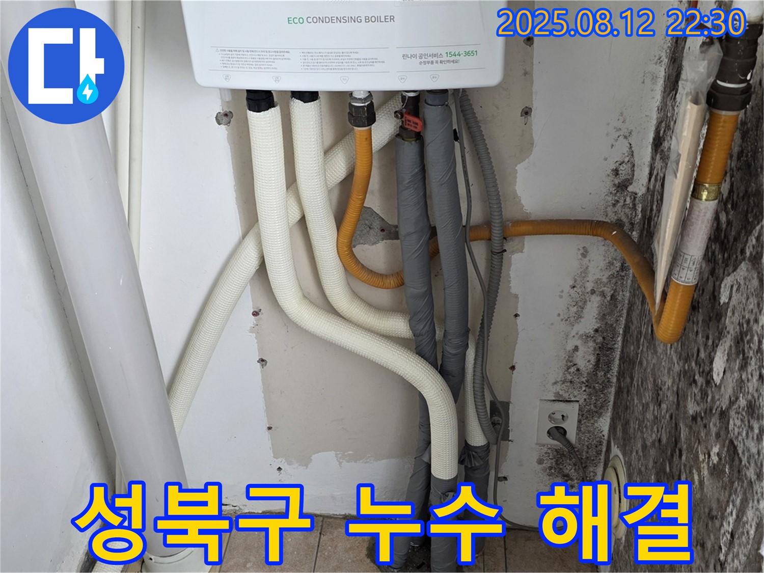 성북구 길음동 숭인동 노후 주택 - 곰팡이 누수 해결은 역시 누수 전문가에게 맡기셔야 합니다.