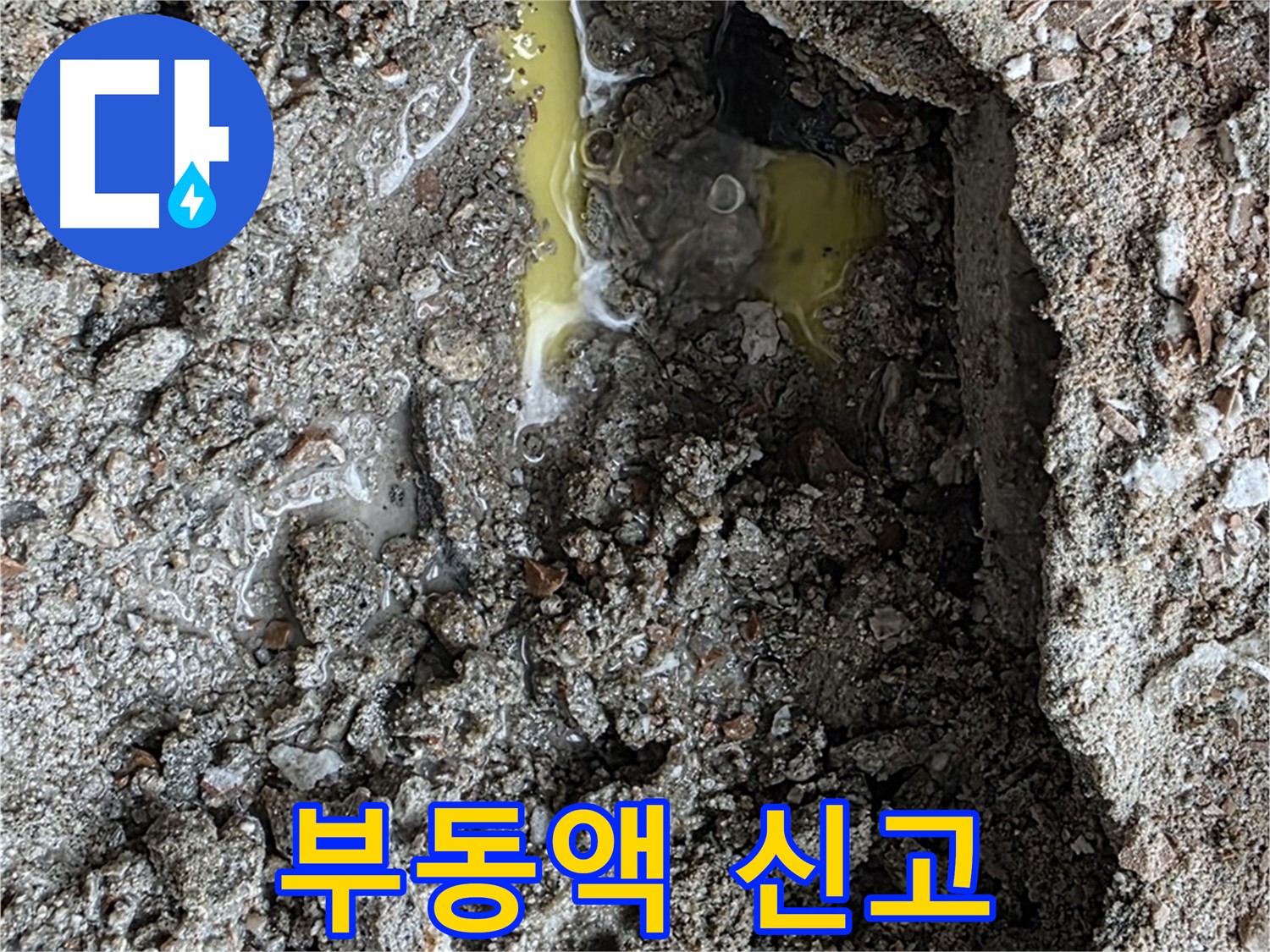 성북구 길음동 숭인로 누수 - 노란 액체를 발견하면 부동액 누수를 의심하고 신속하게 신고하세요!