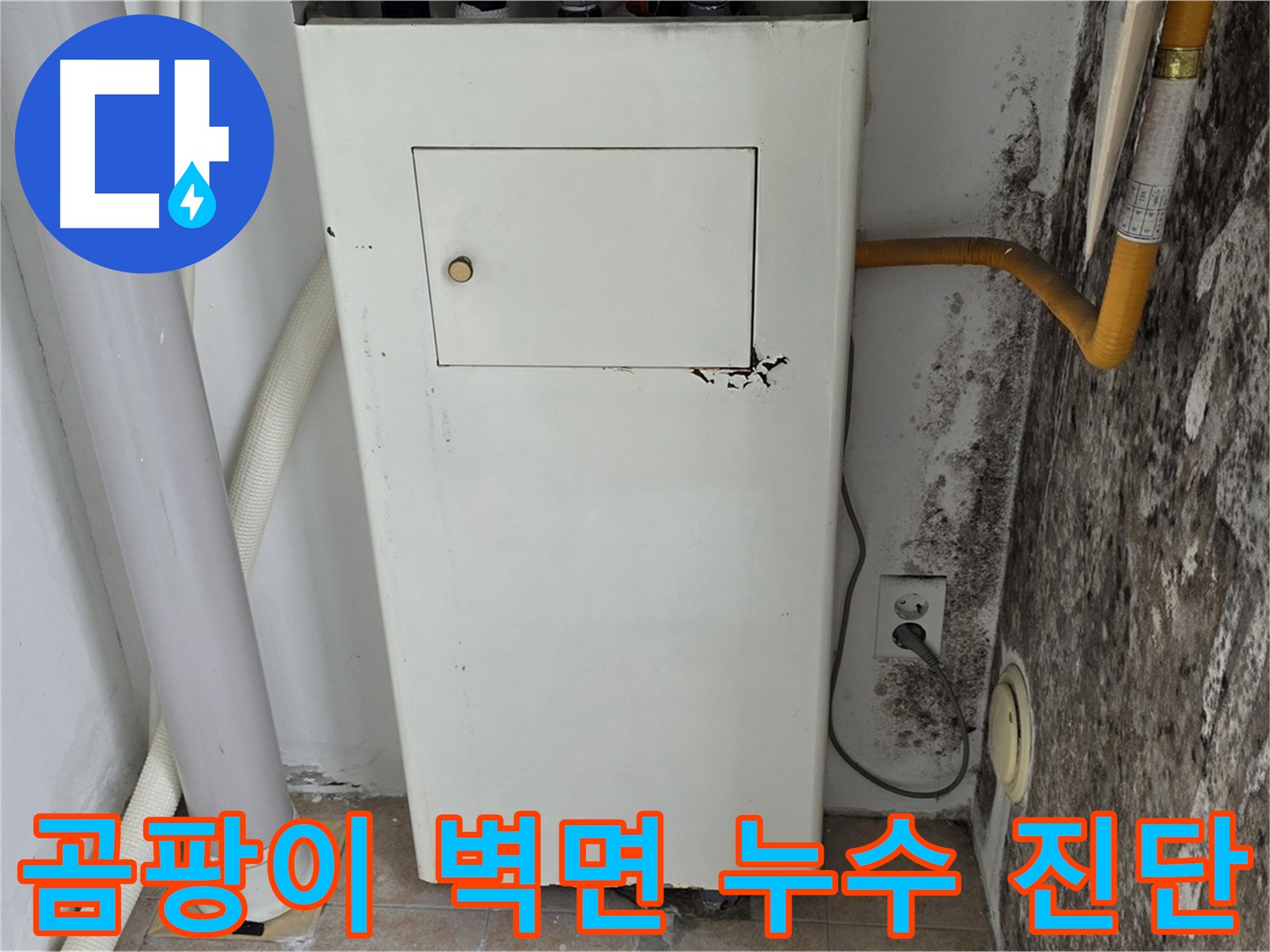 성북구 숭인동 길음1동 - 곰팡이 심한 벽면 긴급 점검 - 누수 전문가의 신속한 진단