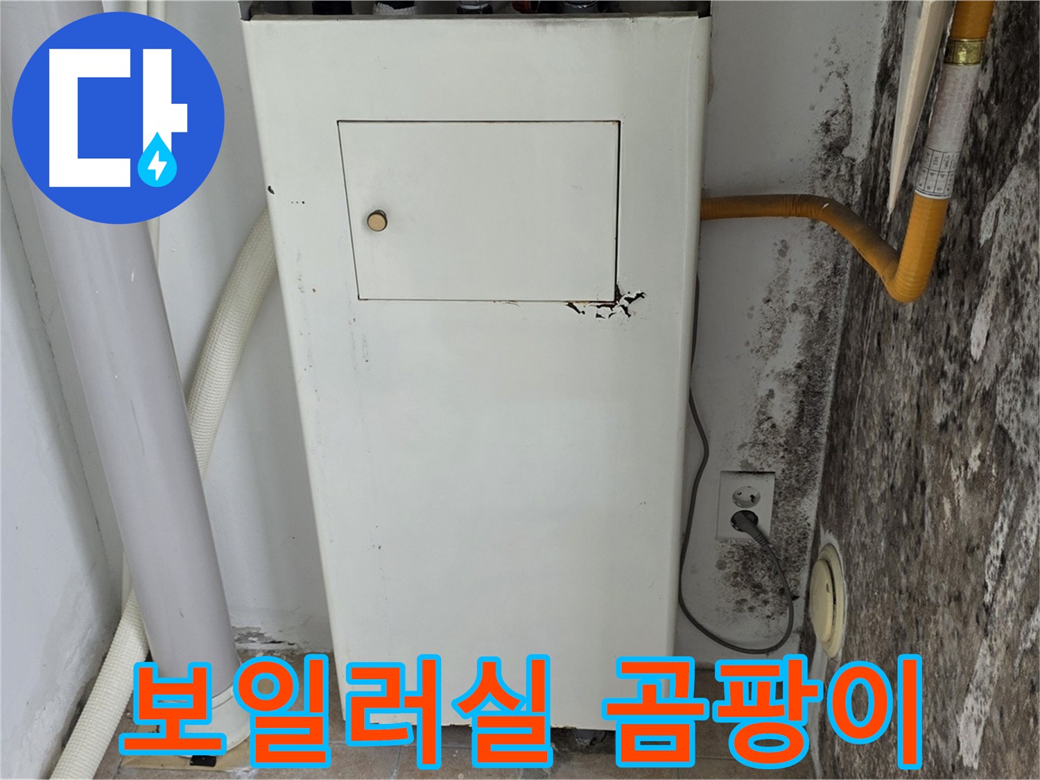 성북구 숭인동 - 길음1동 곰팡이 핀 보일러실 벽면 누수 진단 - 누수 전문가의 꼼꼼한 점검