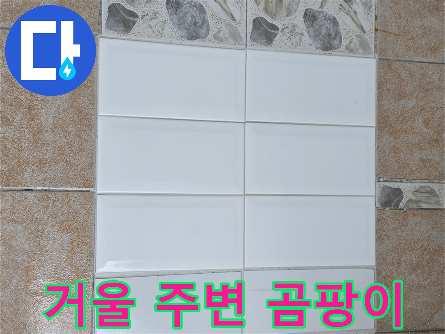 성북구 욕실 거울 주변 곰팡이 - 곰팡이 제거 및 실리콘 재시공