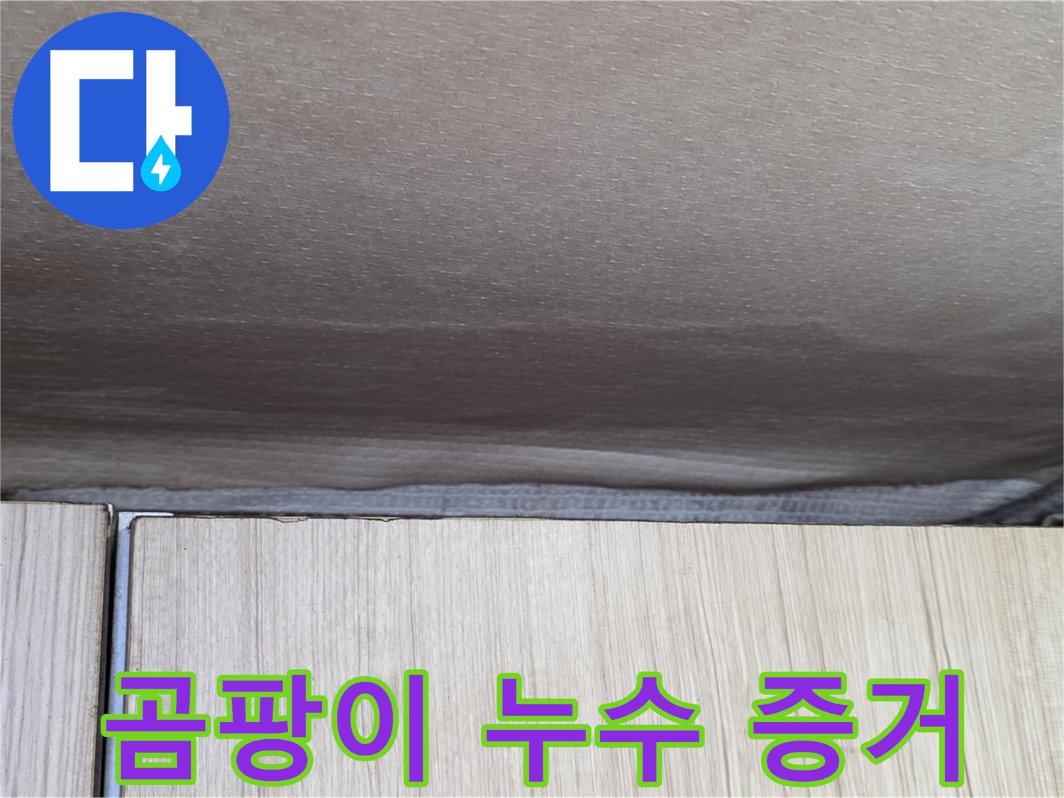 구갈동 203동 누수탐지 - 곰팡이, 숨겨진 누수의 증거