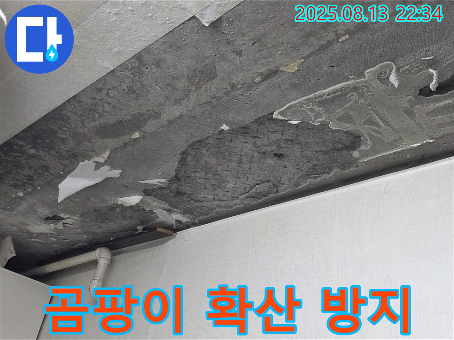 용인 구갈동 아파트 천장 누수 해결 - 곰팡이 확산 완벽 방지 시공 과정을 자세히 담은 사진입니다.