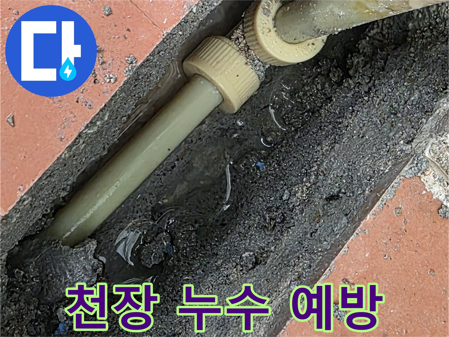포천 자작동 베네치아아파트 - 천장 누수 발생, 아랫집 피해 예방 - 신속한 조치가 중요