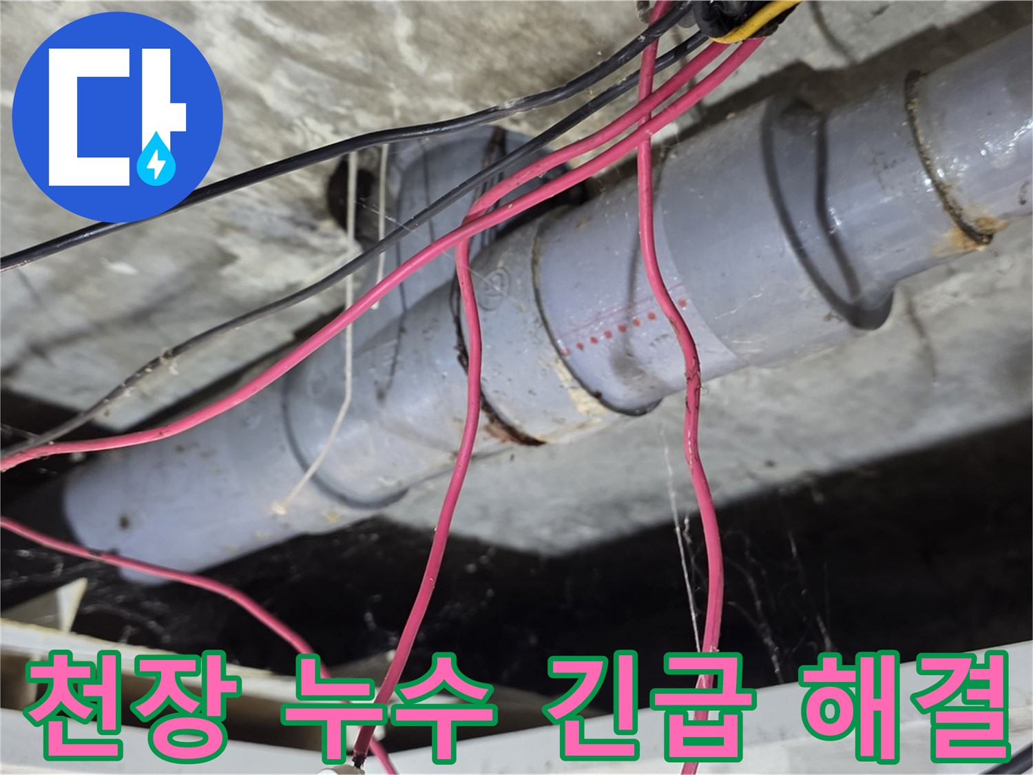 강북구 수유동 삼광빌라 천장 누수 - 신속한 방문과 정확한 진단으로 누수 문제를 해결했습니다.