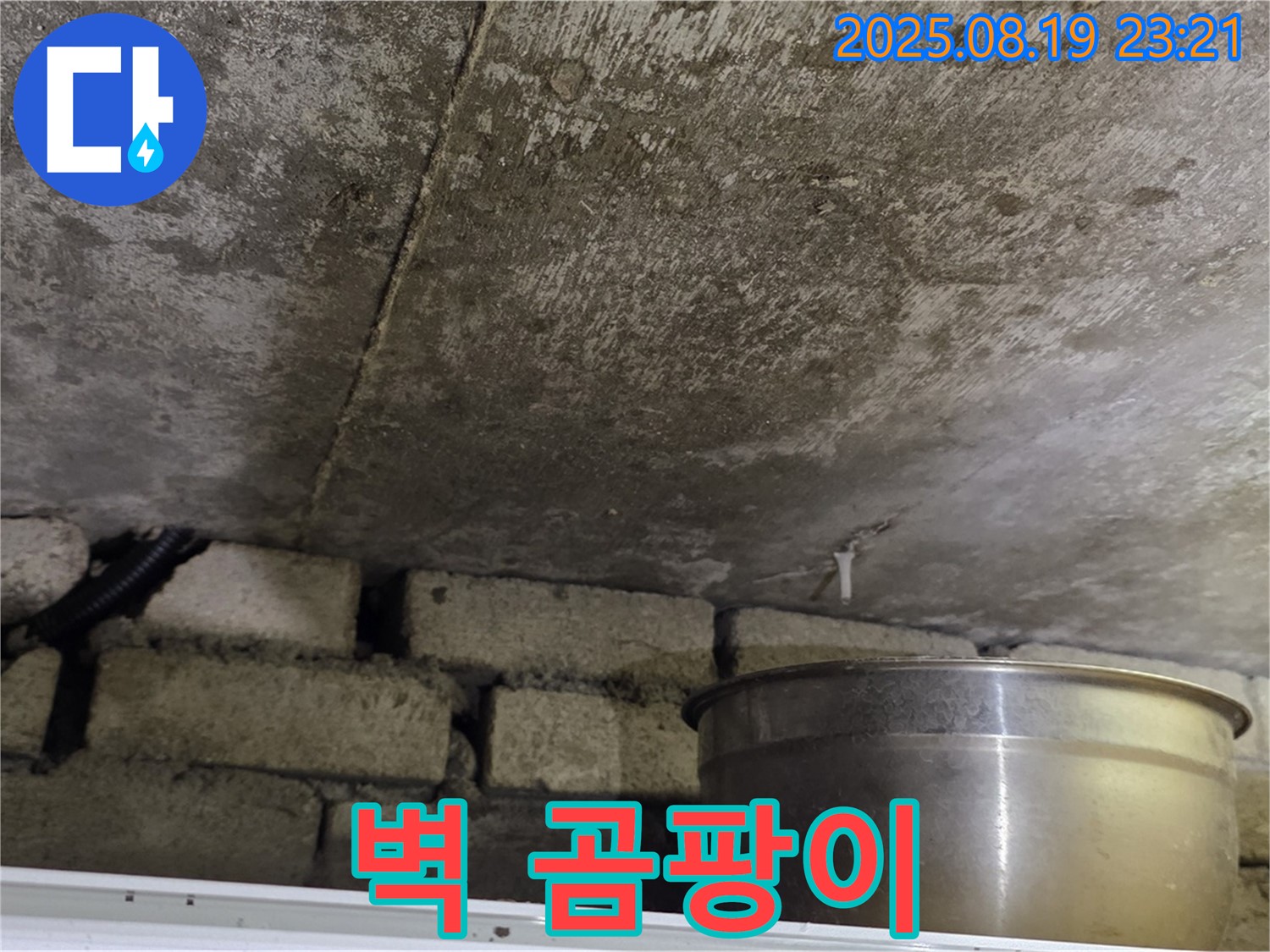 벽 곰팡이 - 누수로 인해 벽에 곰팡이가 심하게 핀 모습 - 건강을 위해 빠른 해결!