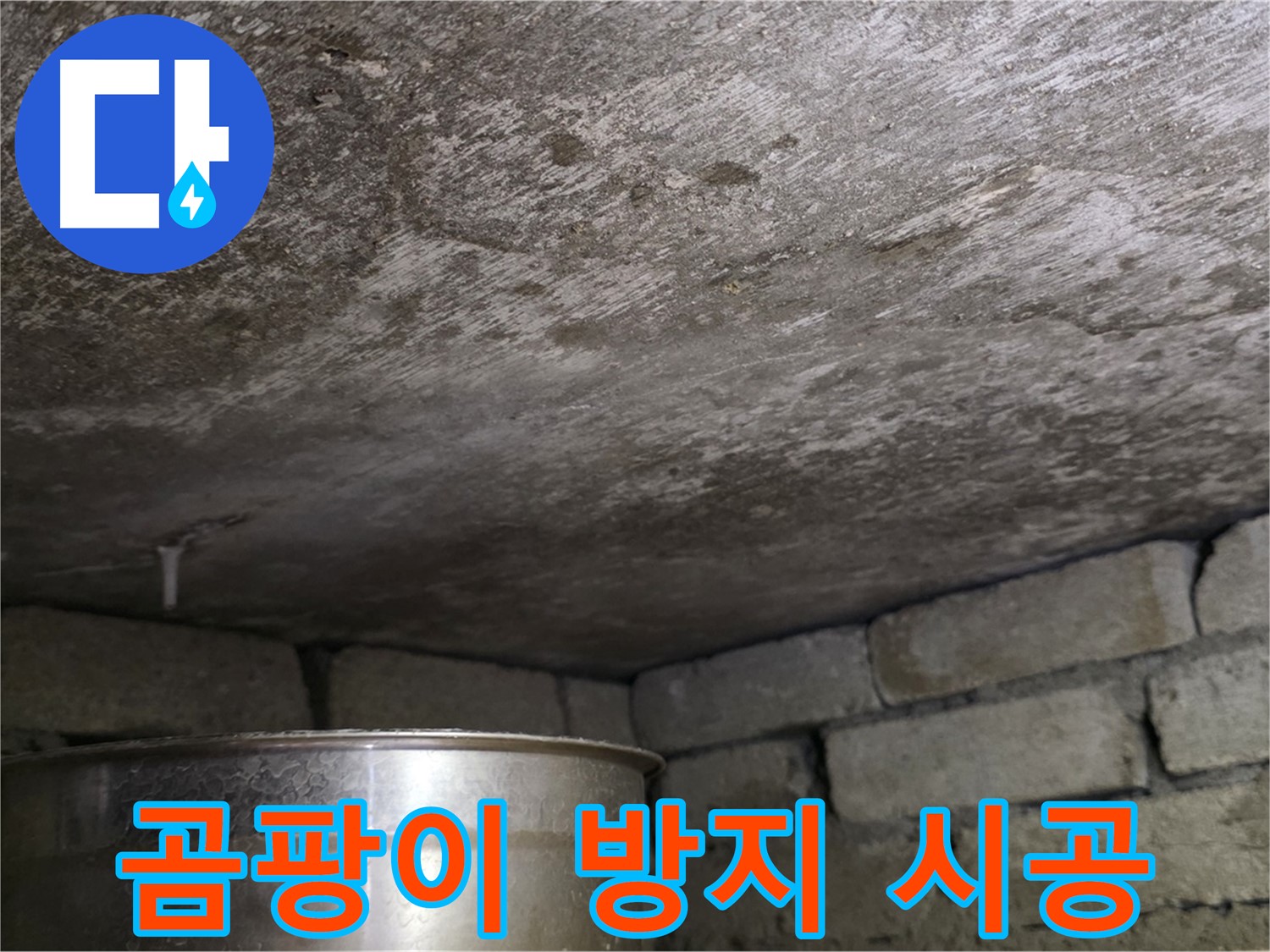 용인 처인구 원일아파트 - 곰팡이 방지 시공으로 깨끗한 벽면 유지