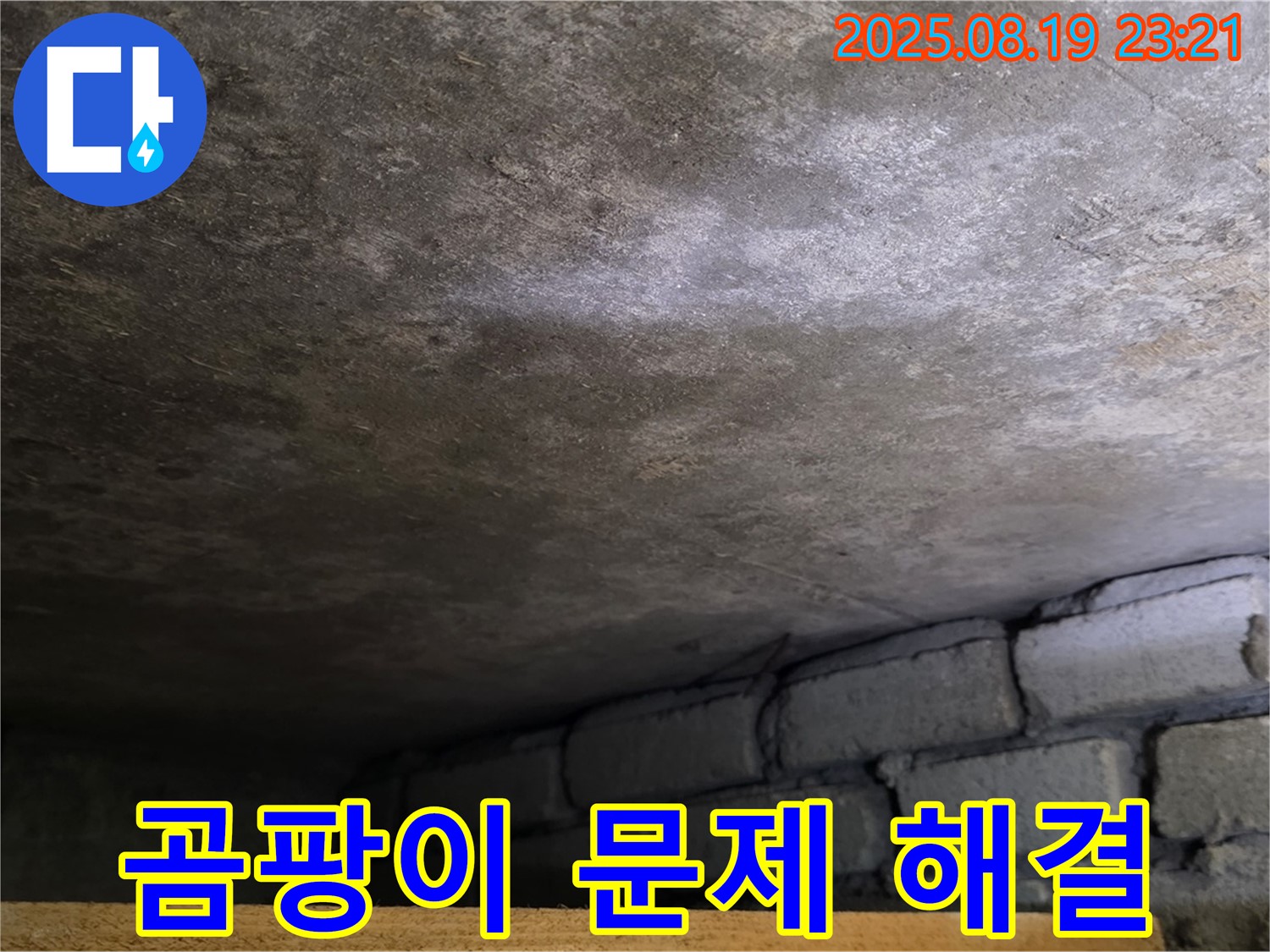용인 처인구 원일아파트 지하 누수 - 곰팡이 제거 작업 진행