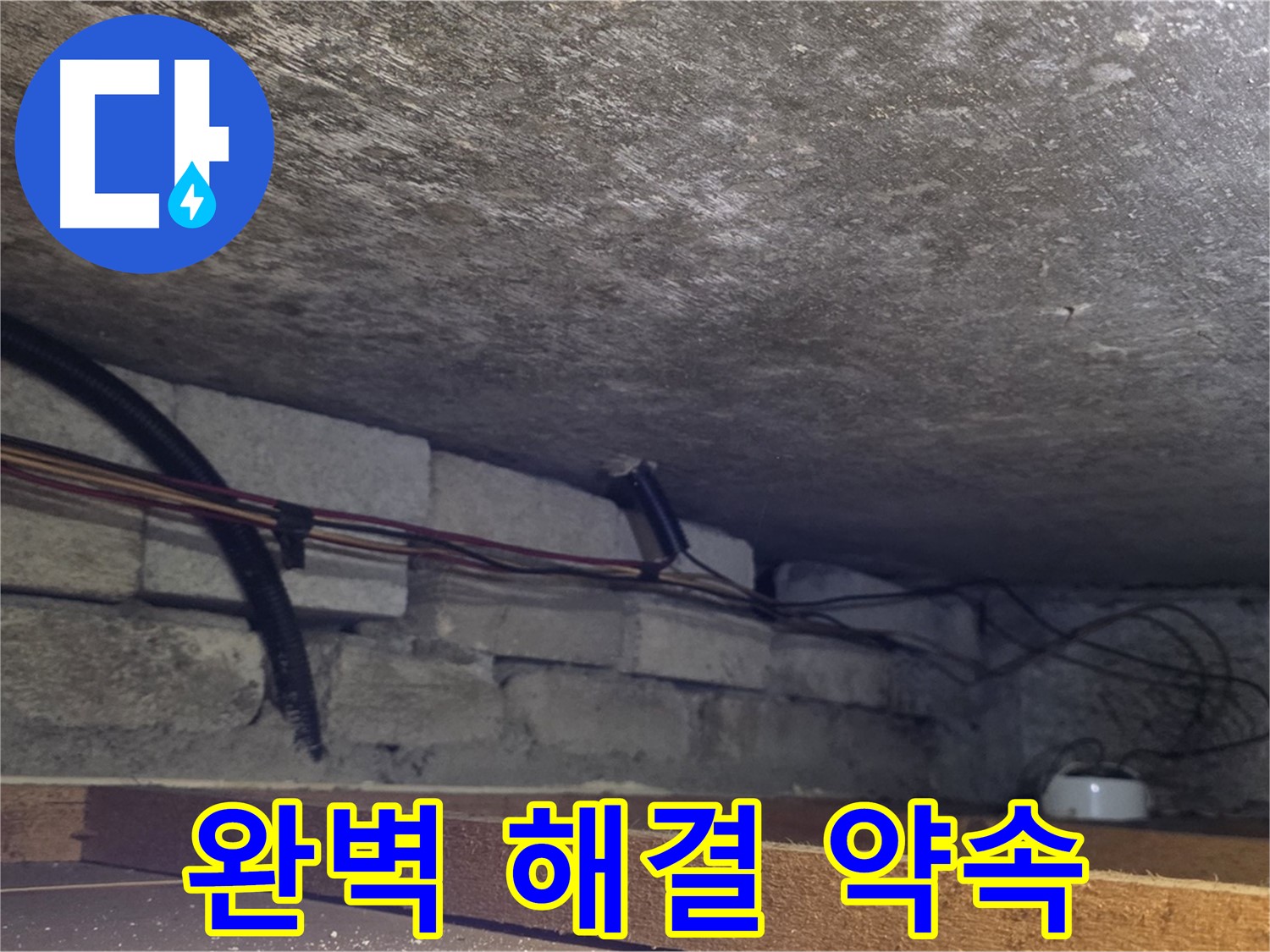 전대리 원일아파트 누수 완벽 해결 약속 - 배관 상태 점검