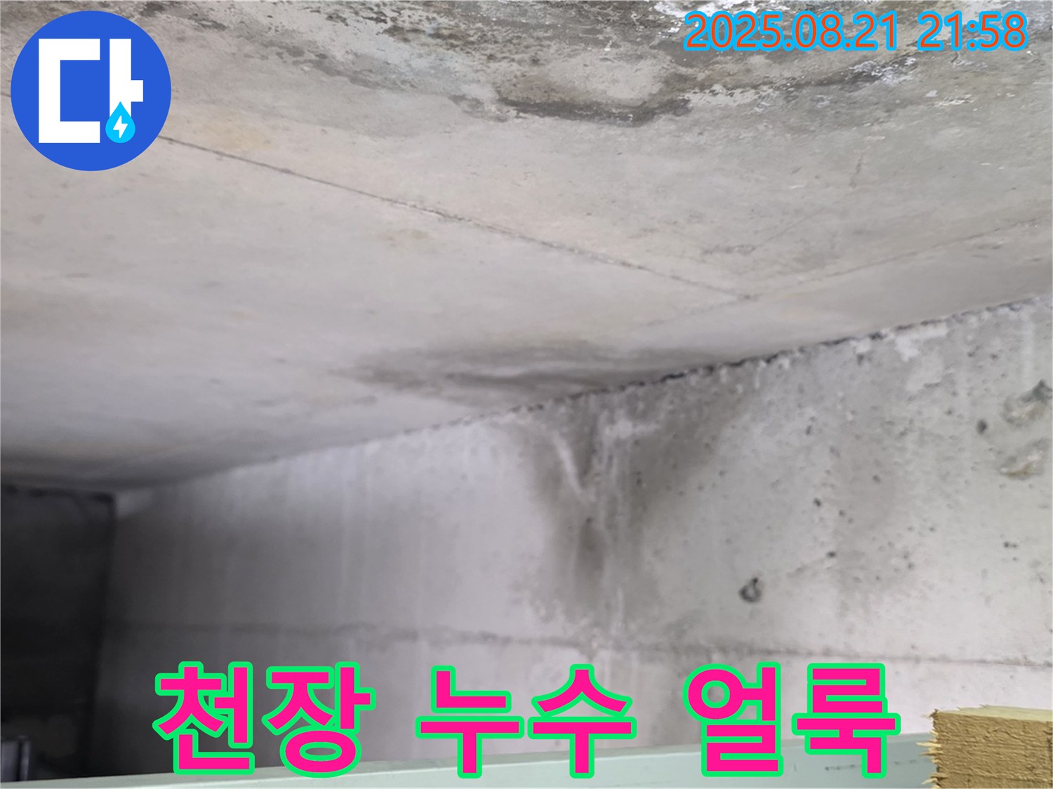일산서구 송포동 누수 현장 - 콘크리트 천장에 누수와 함께 얼룩이 생긴 모습입니다.