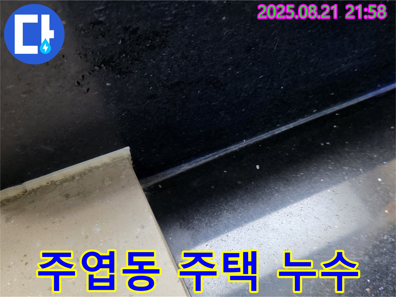 일산서구 주엽동 주택 누수 - 곰팡이가 핀 타일 주변을 집중적으로 점검하여 누수 원인을 분석하는 모습