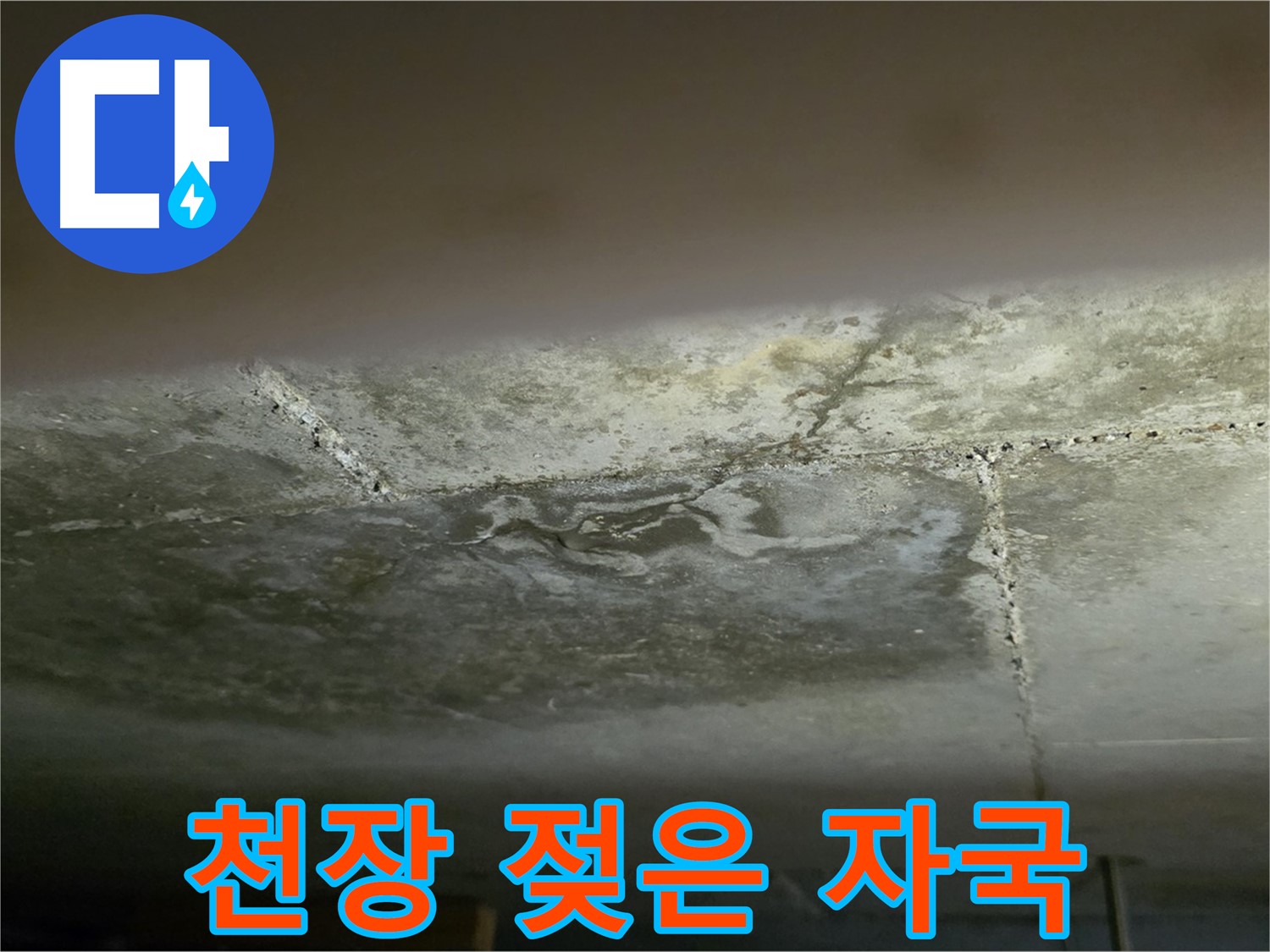 일산서구 탄현동 아파트 젖은 천장 - 24시간 긴급 출동 및 빠른 해결