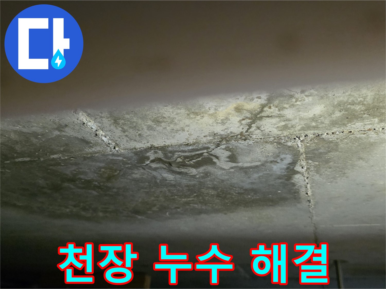 일산서구 하이파크 아파트 천장 누수 해결 - 합리적인 누수 견적 제공