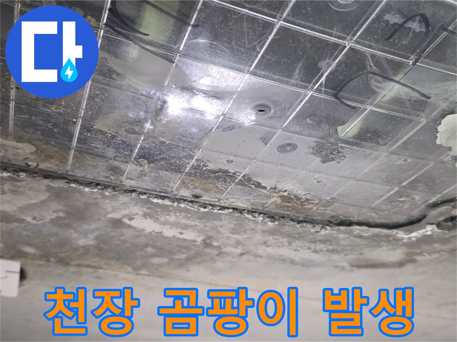 천장 곰팡이 발생 - 누수로 인해 천장에 곰팡이가 심하게 번식하고 있습니다.
