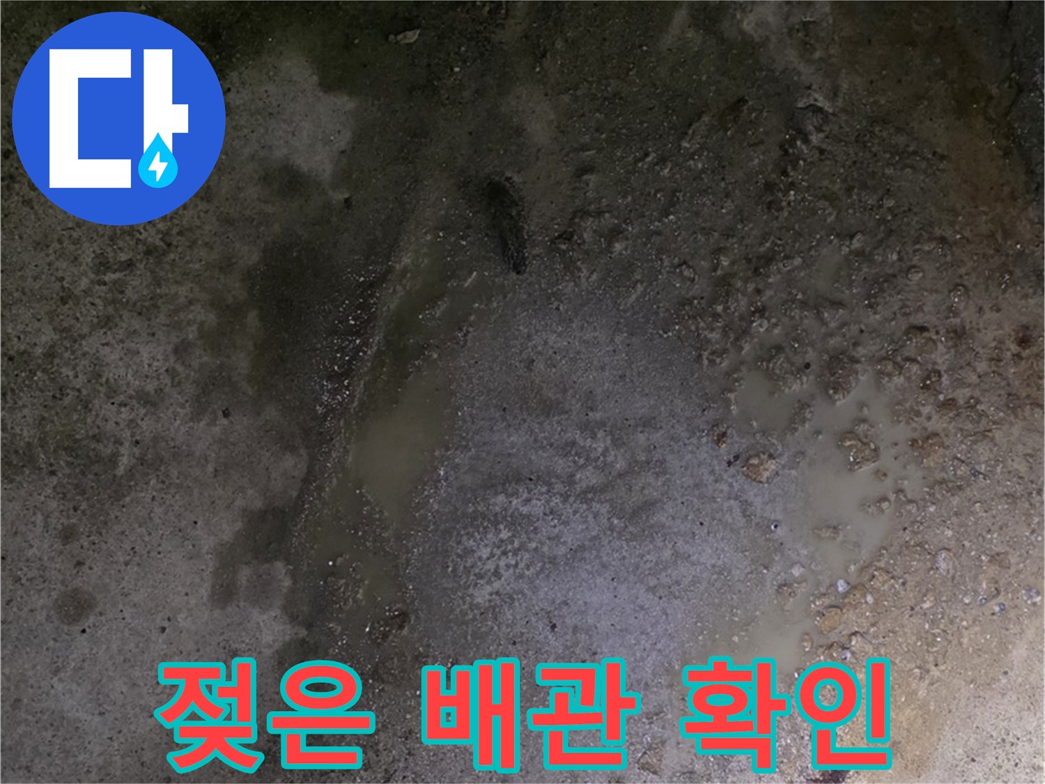 강원특별자치도 철원군 서면 와수리 누수 현장 - 젖은 배관을 확인하여 누수 발생 위치를 정밀 분석하고 있습니다.