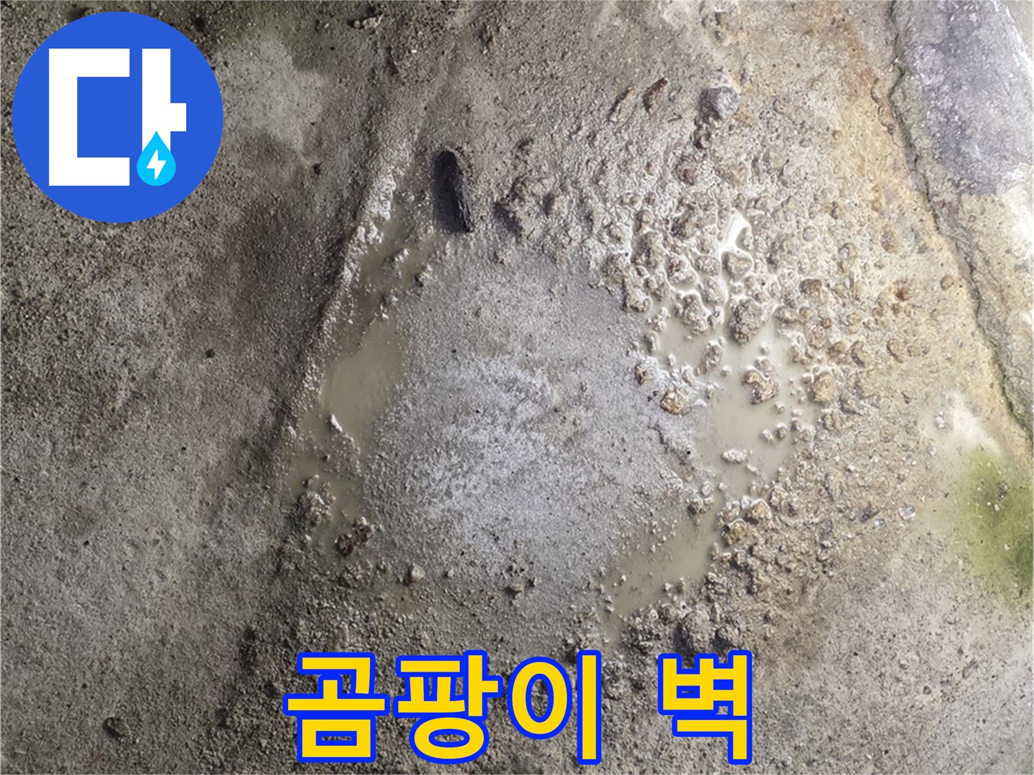 철원군 서면 와수리 누수 - 곰팡이 슨 벽은 누수 해결이 최우선입니다 - 건강을 위해 빠른 조치가 필요합니다.