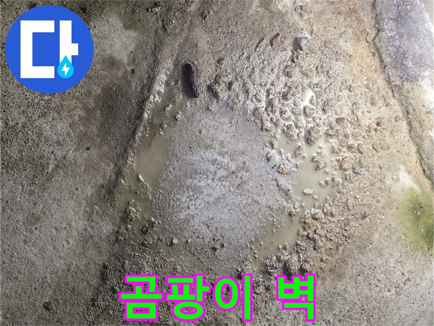 철원군 서면 와수리 누수 - 곰팡이 슨 벽은 누수 해결이 최우선입니다 - 건강을 위해 빠른 조치가 필요합니다.