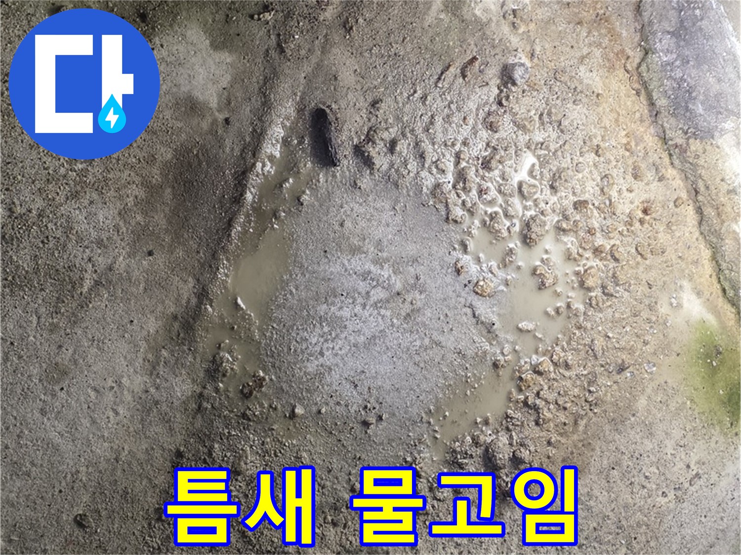 철원군 서면 와수리 누수 - 콘크리트 갈라진 틈새에 물이 고여 있다면 누수 긴급 점검이 필요합니다.