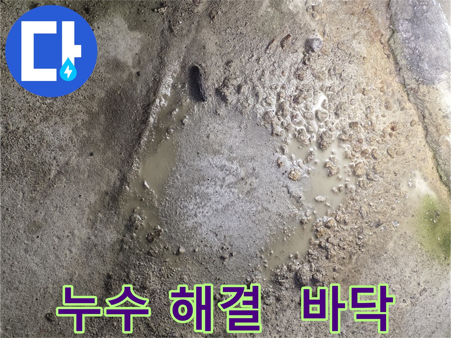 철원군 서면 와수리 누수 해결 - 누수로 인한 걱정을 덜어드리기 위해 최선을 다하고 있습니다.