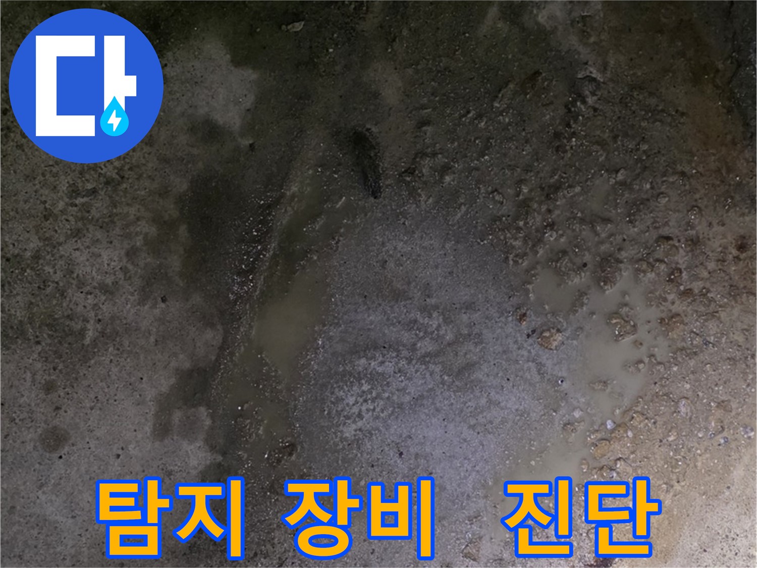 철원군 서면 와수리 누수 현장 - 누수 탐지 장비를 사용하여 정확한 누수 지점을 진단하고 있습니다.