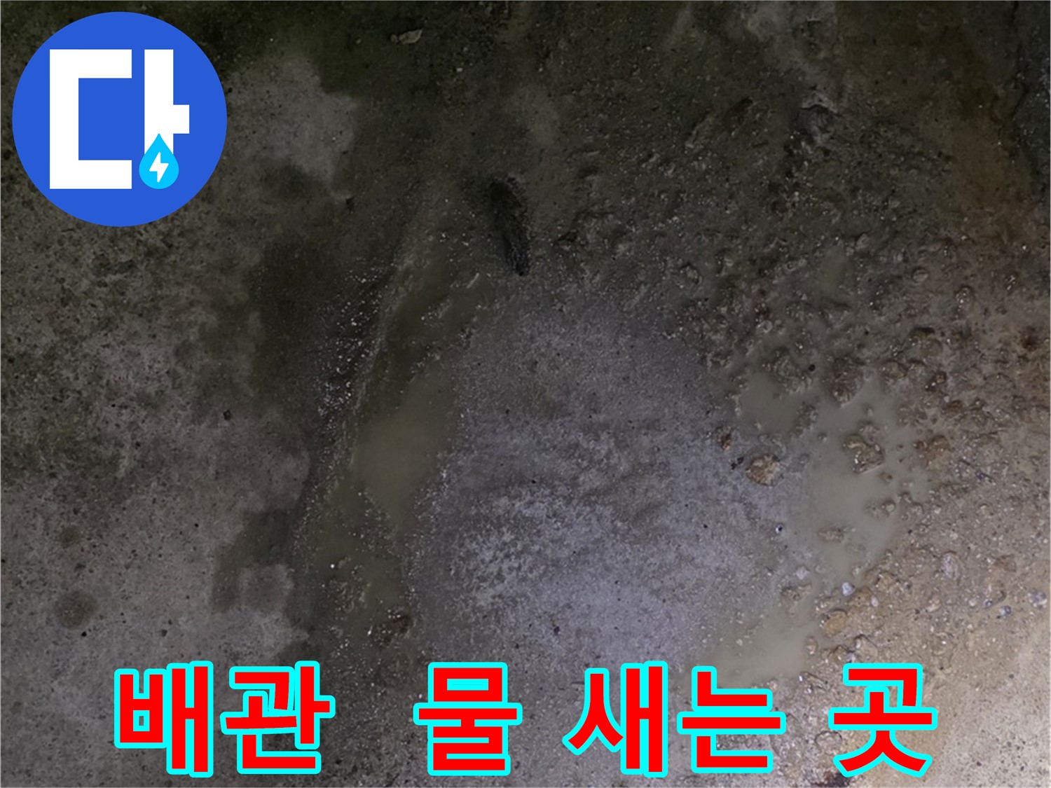 철원군 서면 와수리 누수 현장 - 배관에서 물이 새고 있는 모습입니다.