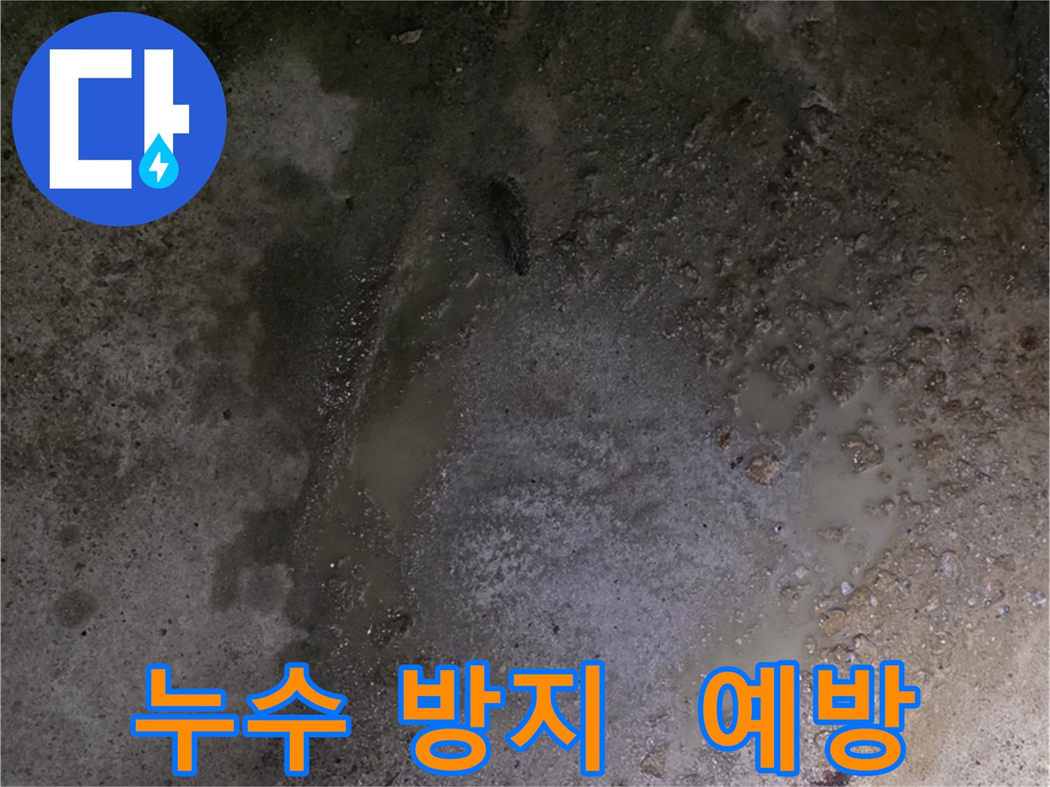 철원군 서면 와수리 누수 현장 - 정기적인 예방 점검을 통해 누수를 사전에 방지할 수 있습니다.