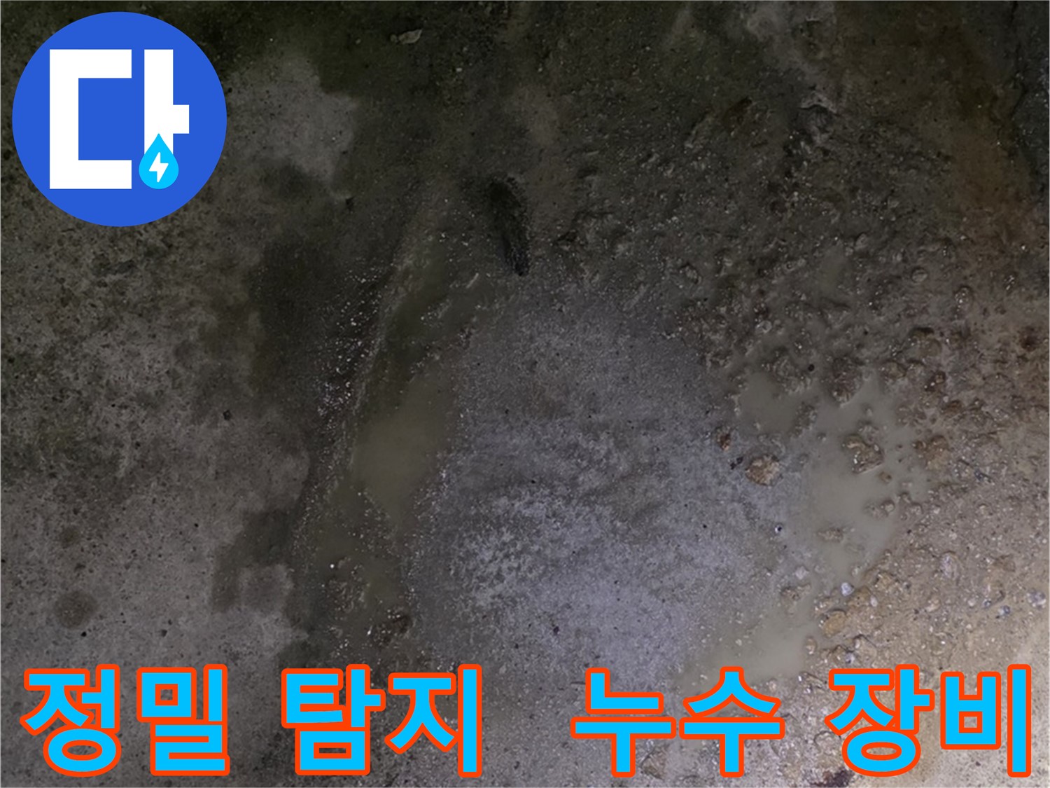 철원군 서면 와수리 누수 현장 - 첨단 장비를 이용한 정밀 누수 탐지 작업 중입니다.