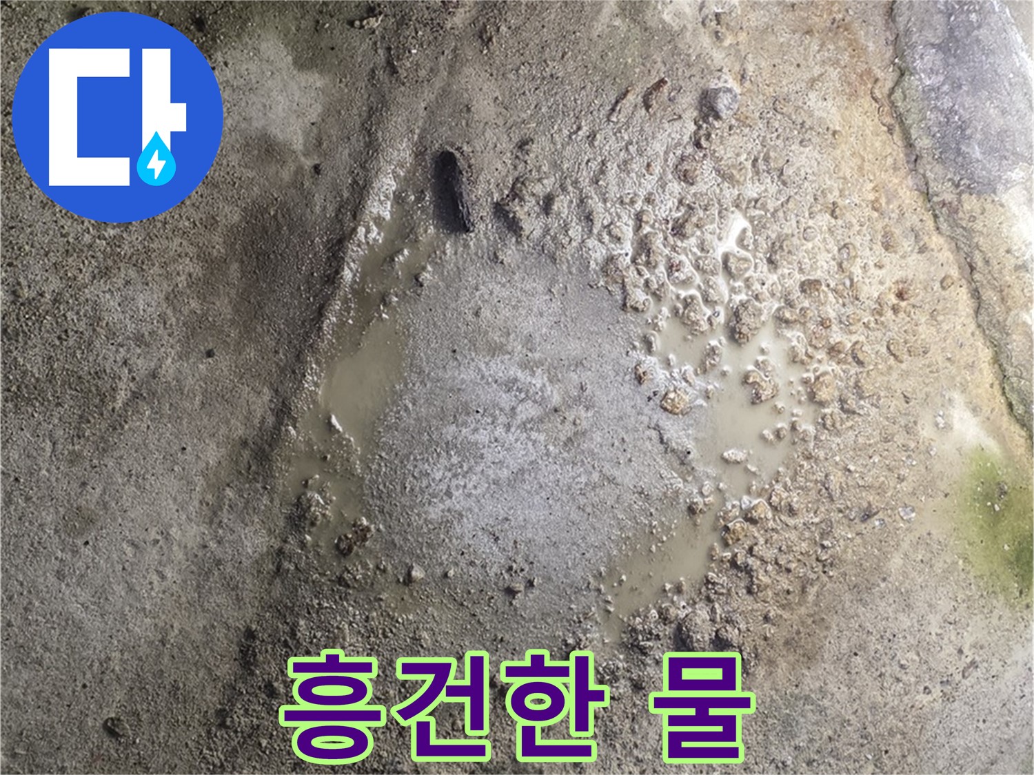 철원군 서면 와수리 누수 - 흥건한 물, 긴급 누수 해결을 위해 전문가가 신속하게 방문합니다.