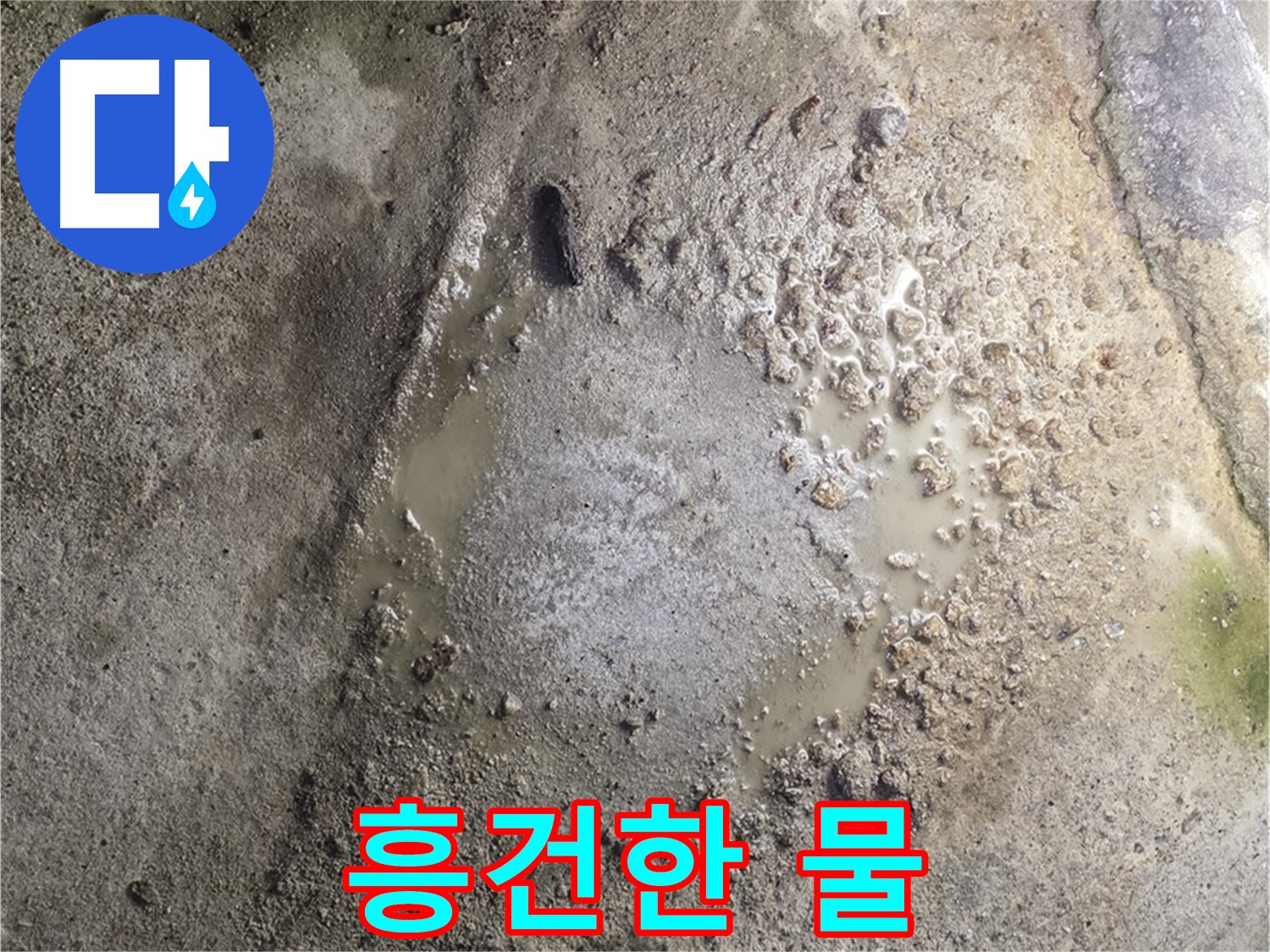 철원군 서면 와수리 누수 - 흥건한 물, 긴급 누수 해결을 위해 전문가가 신속하게 방문합니다.