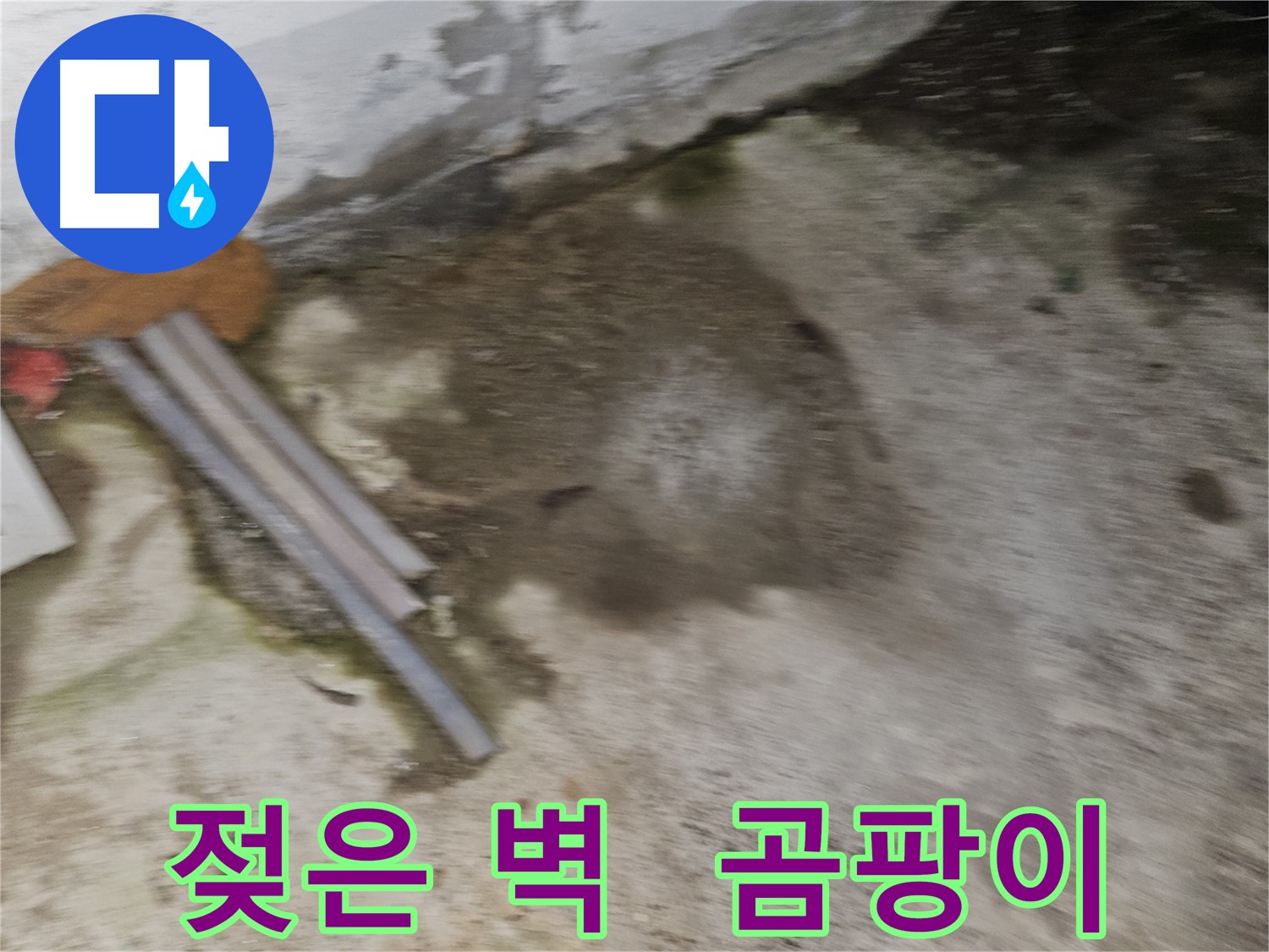 철원군 서면 와수리 - 젖은 벽은 곰팡이 발생 위험 신호