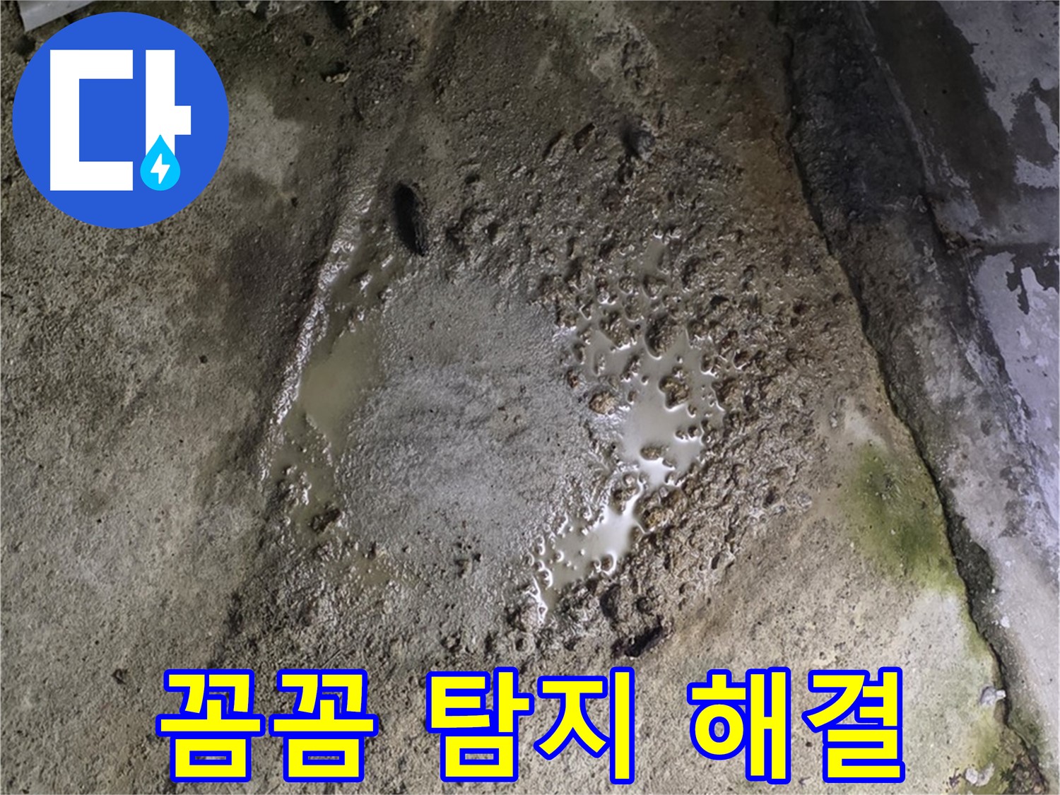 철원군 서면 와수리 - 콘크리트 건물 누수, 꼼꼼하게 탐지해서 확실하게 해결해 드립니다.