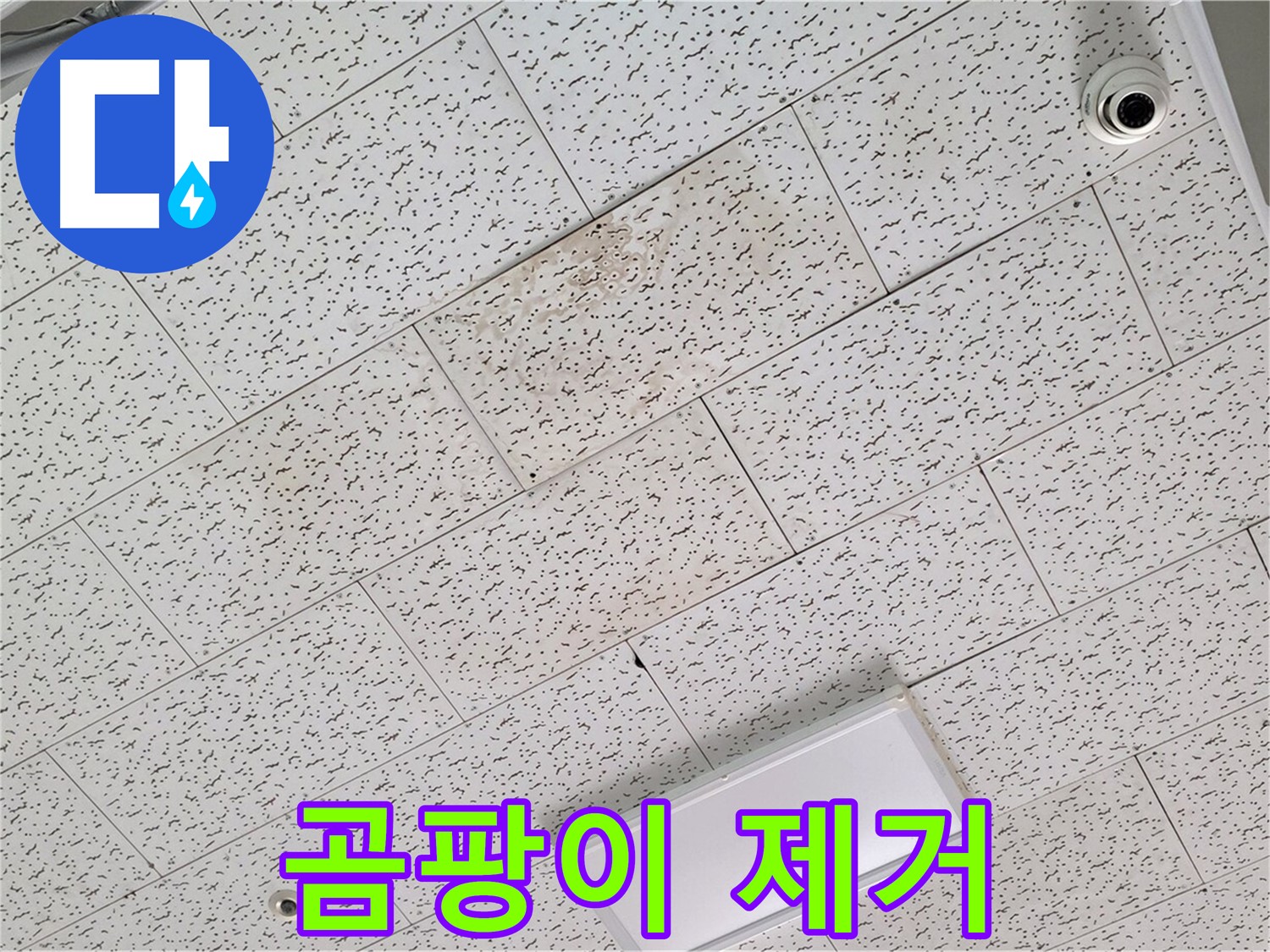 김포 마산동 누수 - 텍스 천장 곰팡이 제거 및 건강을 위한 예방